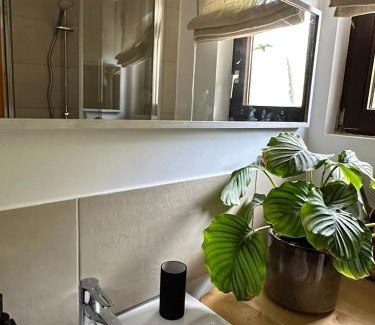 Kall Apartment | EifelZeit 1