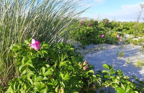 Gelbensande Apartment | Eikkater 4 EG