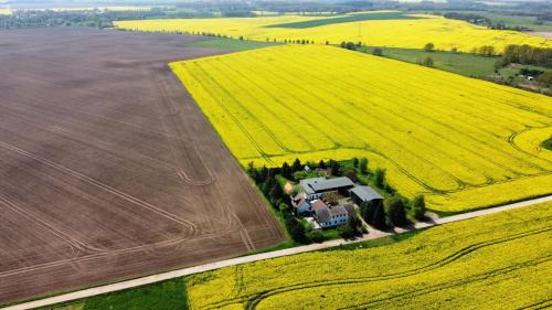 Schonfeld House | Ein Bett im Kornfeld - Haus Weitblick - mit Innenpool