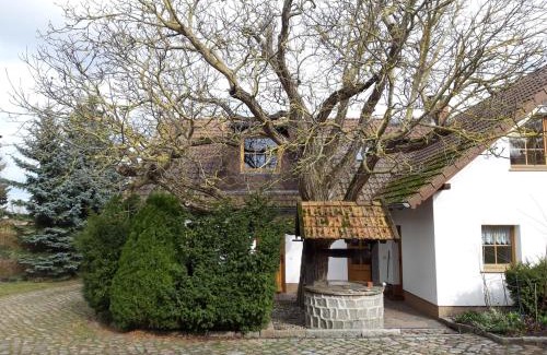 Schonfeld Apartment | Ein Bett im Kornfeld - Haus Fernweh - Innenpool