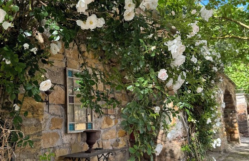 Siebleben Apartment | Ein Italienischer Hauch im Schloss Mönchhof