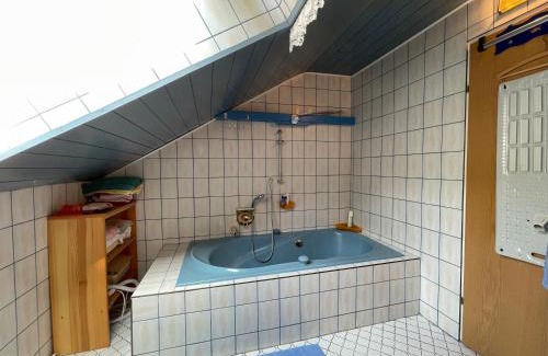 Maria Schutz House | Einhornhaus