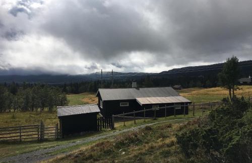Svingvoll House | Einkjerrbu cabin by Norgesbooking -