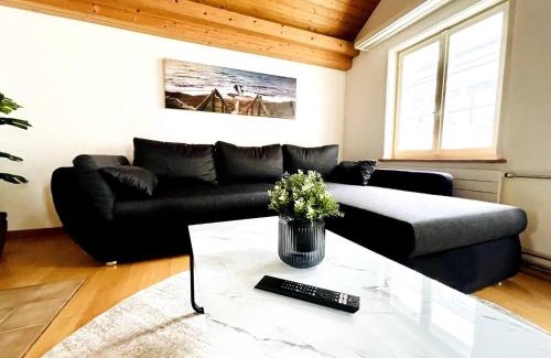 St. Gallen Apartment | Einzigartige Schone Altbau- Wohnung Im Zentrum