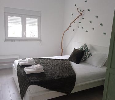 Sao Martinho do Bispo House | Eira da Mila