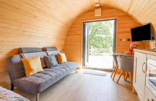 Dolgellau House | Eirlys