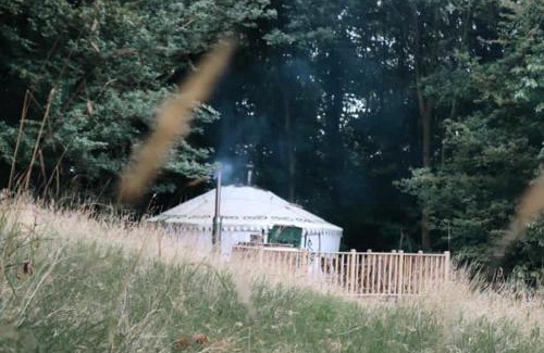 Coxwold Other | Eisa Yurt
