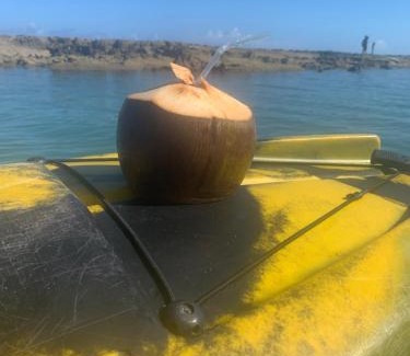 Porto de Galinhas Apartment | Ekoara Muro Alto Porto de Galinhas Pé na areia 70m2