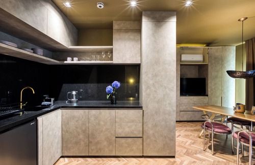 Hipodromo Condesa Apartment | El Alfonsa
