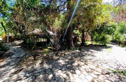 Melocoton Cabin | El Arroyo Apart Hotel