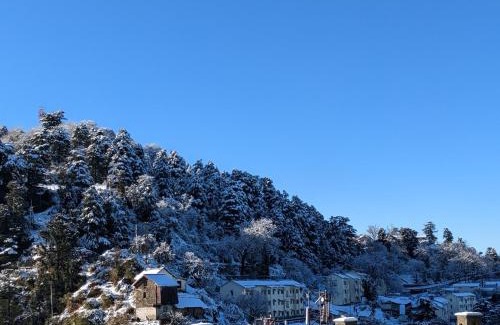 Shimla Bed & Breakfast | El Cielo, B&B