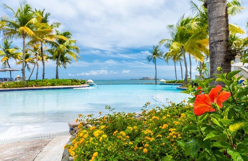 Cabezas Hotel | El Conquistador Resort