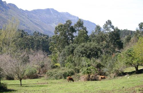 Ovio House | El Corral Del Acebo