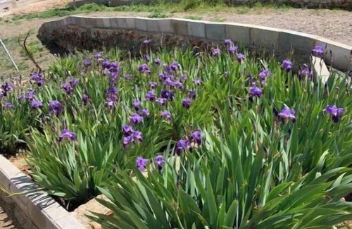 Siete Aguas House | El Cortijo