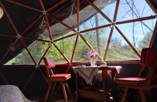 Partido de Tigre Cabin | El Domo y La Petaca Delta del Tigre