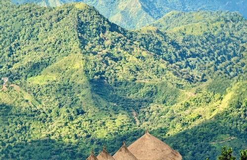 Papare Cabin | El Dorado ProAves Reserve