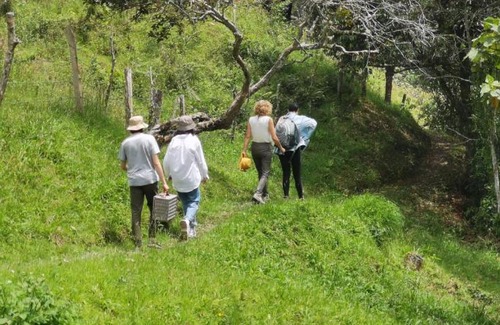 San Francisco House | El Fenix