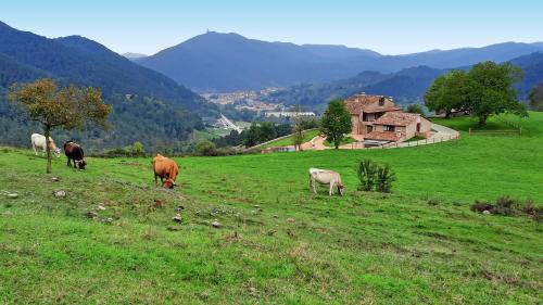Ripoll House | El Guitart - Turisme Rural