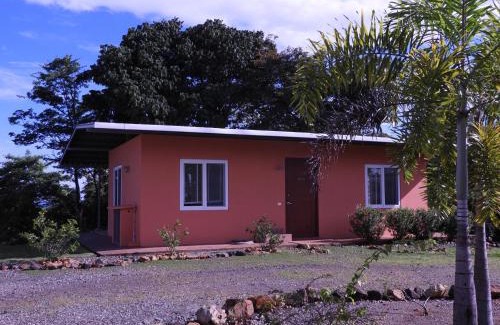 Torio House | El nido del tucán