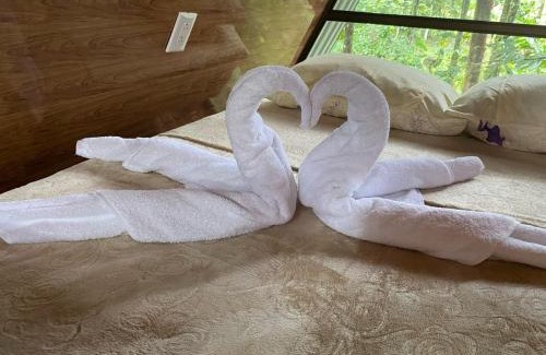 Katira Ski Chalet | El Nido del Tucan Rio Celeste