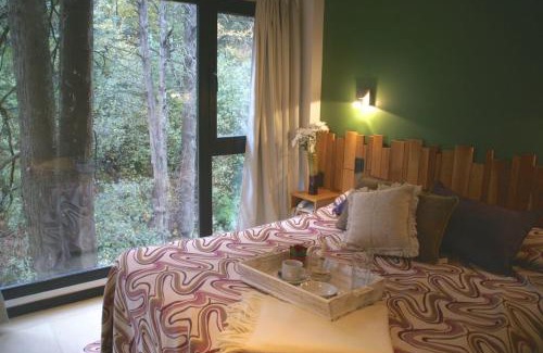 Lanin National Park Apartment | El Oasis Apart Hotel