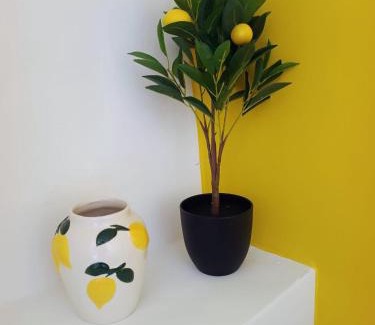 Majada del Moro Apartment | El Oasis Morado