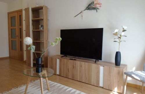 Lerma Apartment | El Olmo