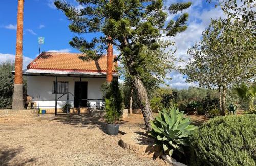 Bollullos de la Mitacion House | El Paraíso del Olivar