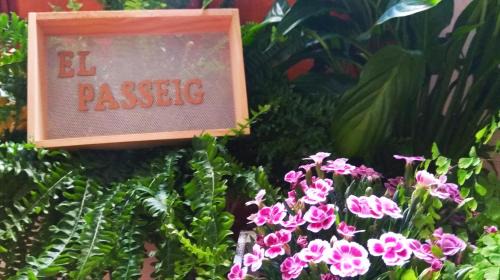 Vilafames Apartment | El Passeig