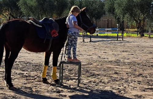 San Rafael Hotel | El Pinar Caballeriza