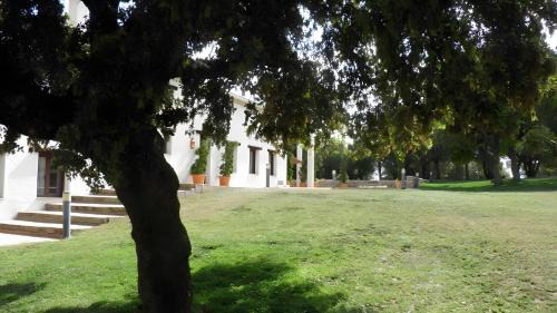 Las Nogueras House | El Pinar de la Lobera