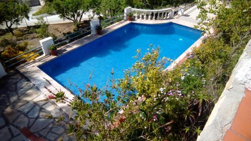 L'Albiol House | El Pinaret