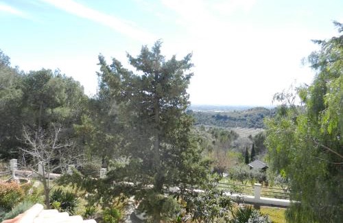 L'Albiol House | El Pinaret