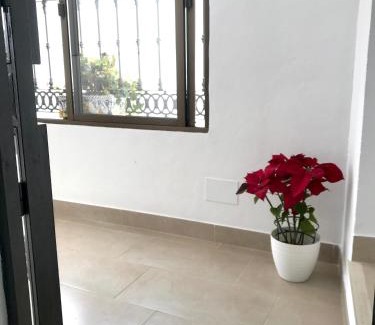 Bornos Apartment | El rincón de Manolita #3