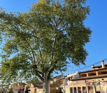Pomar de Cinca House | EL RINCON DE TOÑO