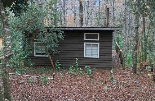 Pucon Cabin | El roble cabins