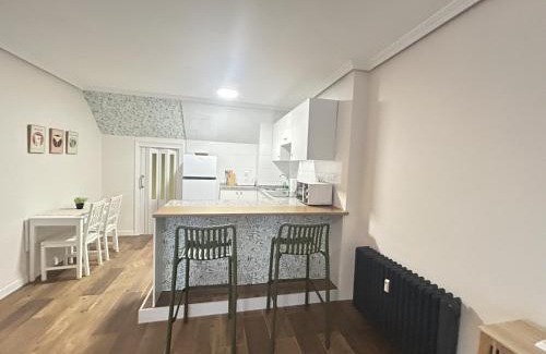Oviedo City Centre Apartment | El Rubio de Campoamor