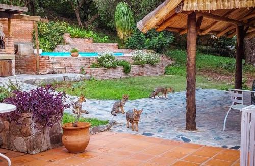 Merlo Villa | El Solar de los Pájaros