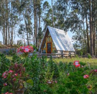 San Juan de Iluman Bed & Breakfast | El Tio Hostal