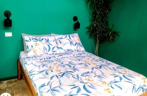 Cocles Apartment | El Tucan Feliz - La Casita Caribeña, Bikes & Hammocks & Playa Cocles