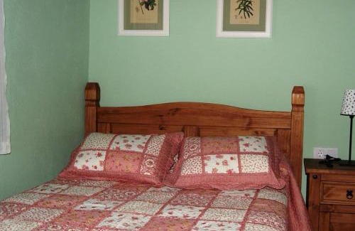 Pinofranqueado House | El Volvedero