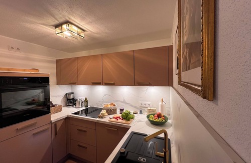 Pirna Villa | Elbvilla Pirna with sauna and fireplace with private access to the Elbe Open/bookable
