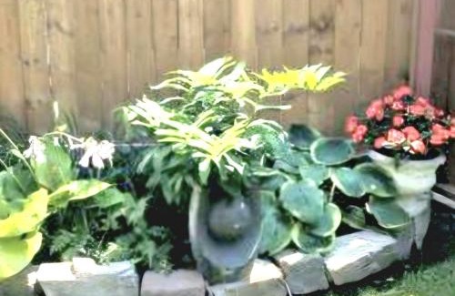 Sandy Hill Apartment | Elcho ExplOres Ottawa