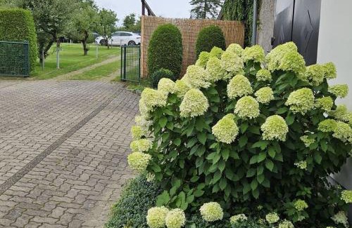 Plau am See House | Eldeufer Comfortable holiday residence