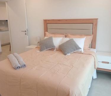 Ciudad Del Este Apartment | Elegant 1 Bedroom Apt In Ciudad Del Este