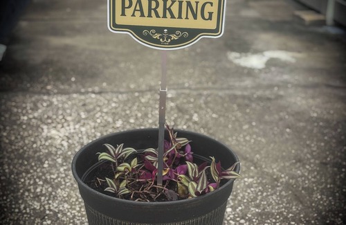 Egypt Lake-Leto Apartment | Elegant Apartment with Private Patio Oasis. Affordable, Comfort and Cozy Stay.