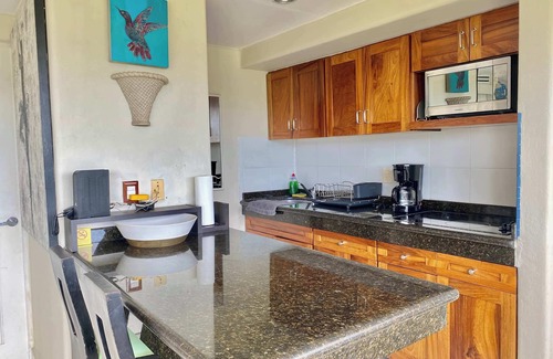 Ixtapa Apartment | Elegant Beachfront Studio in Monarca Ixtapa