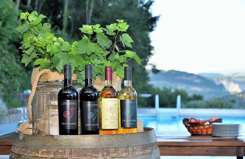 Bagnoregio Villa | Elegant Country house with private pool and with beautiful view for good relax