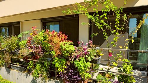 Konak Apartment | Elegant & Cozy Retreat Home, City Center Gem by the Seaside, Steps from the Tram