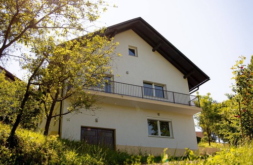 Cerklje ob Krki Villa | Elegant House in a Beautiful Village